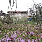 Hotel Santa Roza