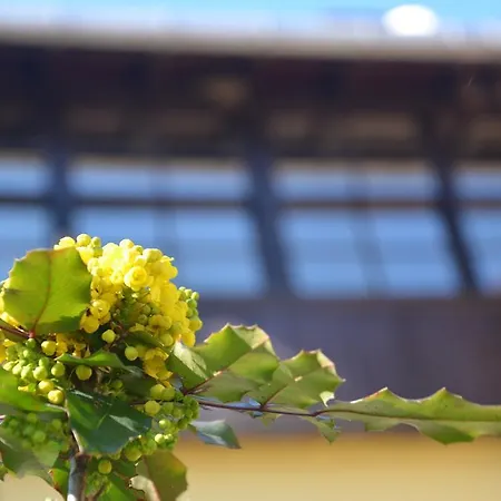 מלון Santa Roza 3*