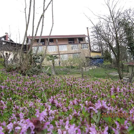 Hotel Santa Roza