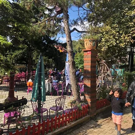 Santa Roza