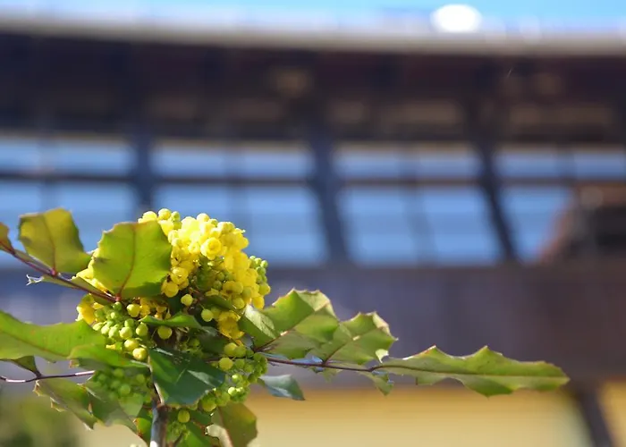 호텔 Santa Roza 3*